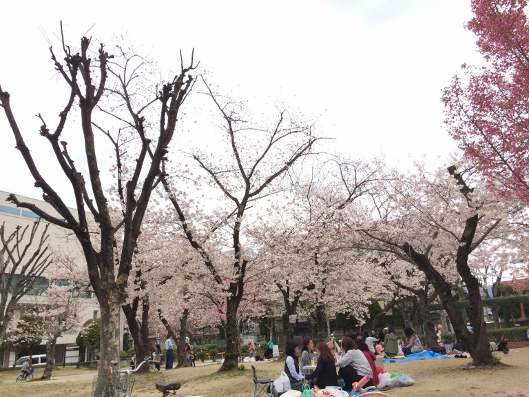 桜の季節のかいじゅう公園