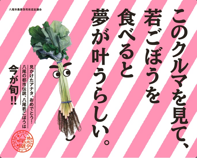 今年も八尾若ごぼう車輛が河内のまちを走ります ２カ月限定 レア物