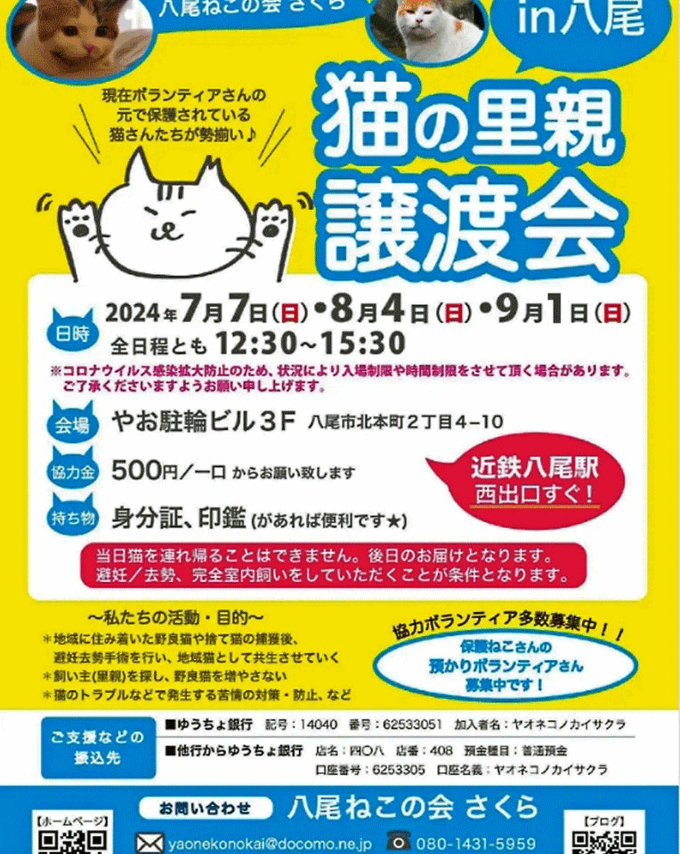 ねこの譲渡会