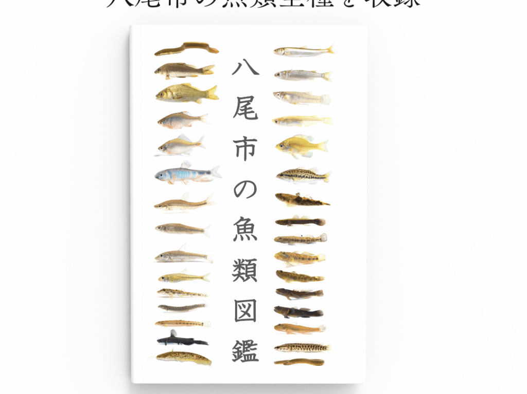 八尾市の魚類図鑑