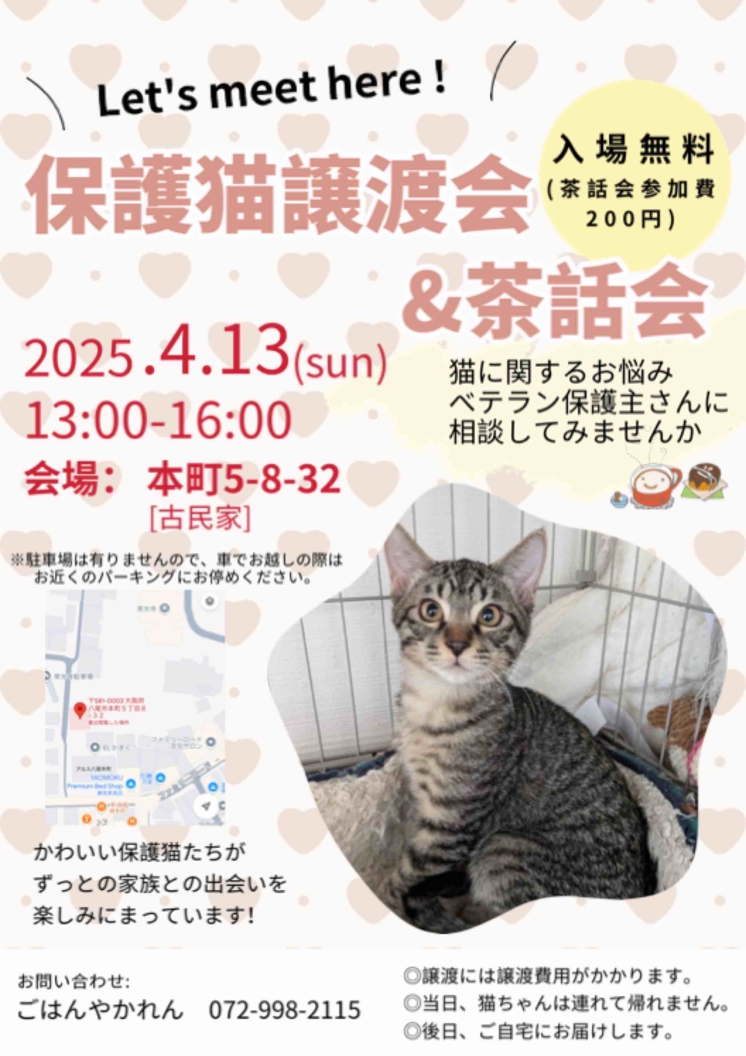 ねこの譲渡会