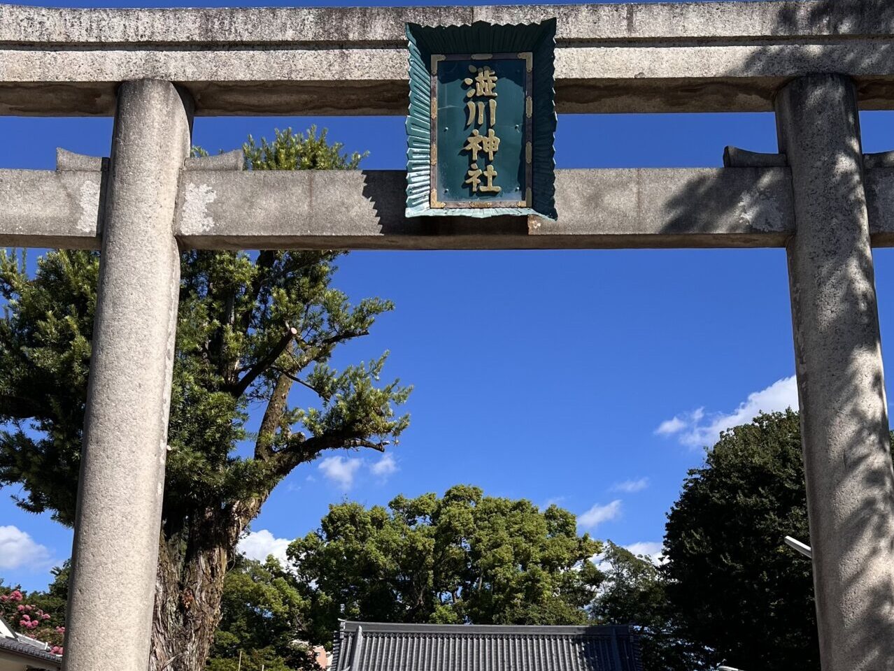 渋川神社