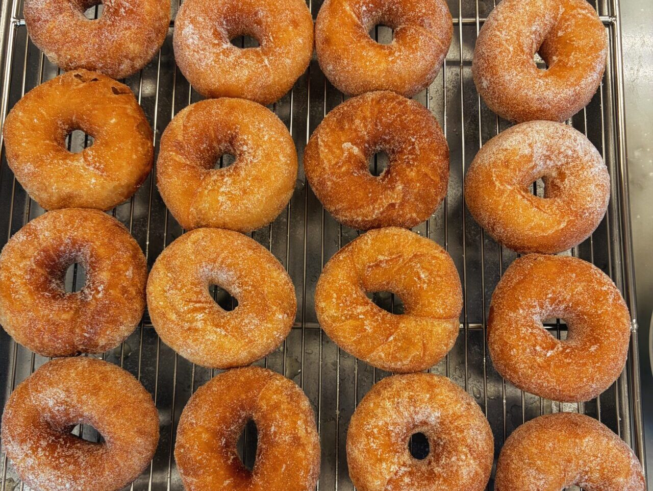 8 WEEKS DONUTS STAND