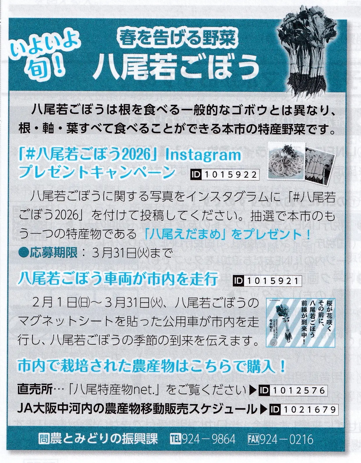 八尾若ごぼう2026