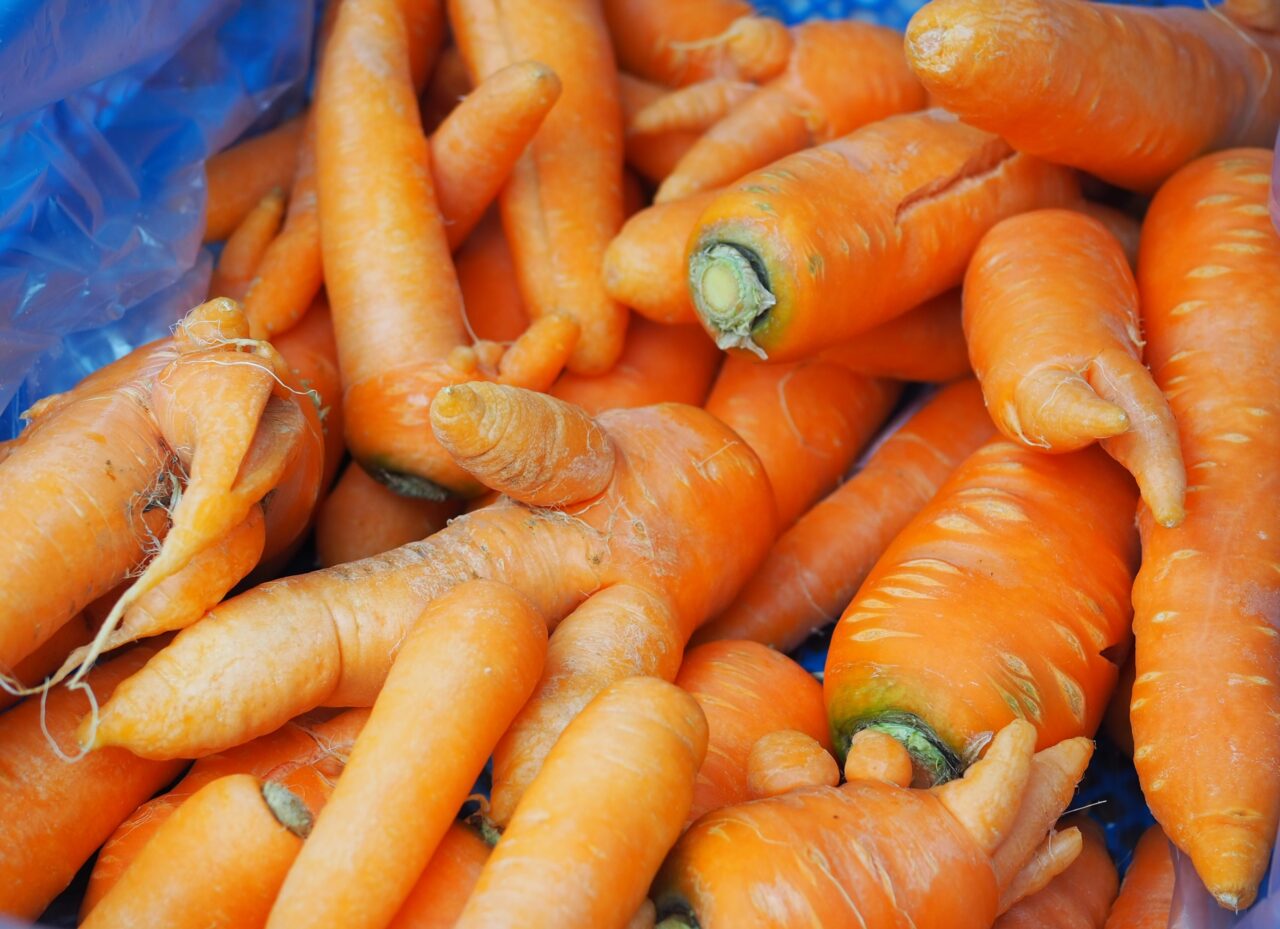 野菜料理の缶詰”『Vege-Can（ベジカン）』の開発