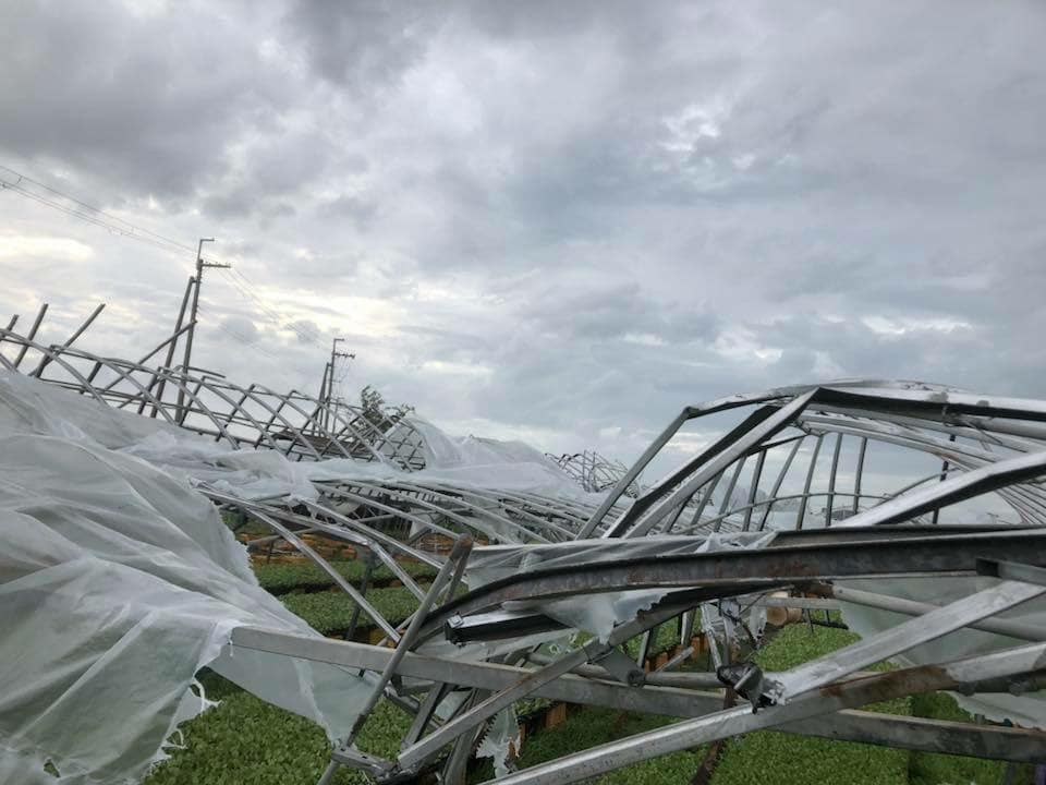野菜料理の缶詰”『Vege-Can（ベジカン）』の開発