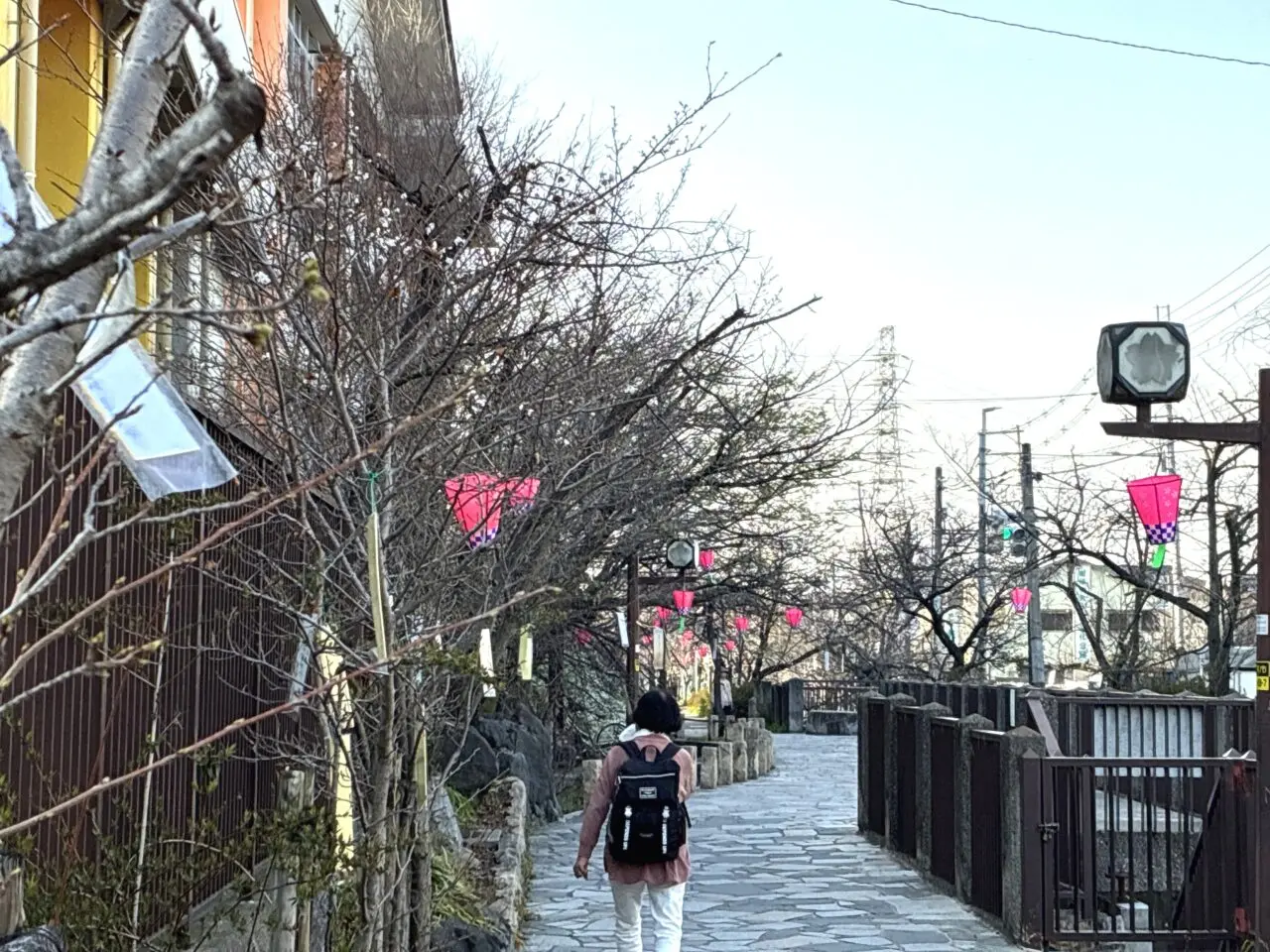 玉串川沿いの桜