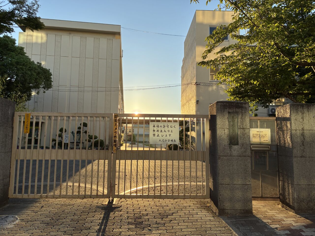 八尾小学校