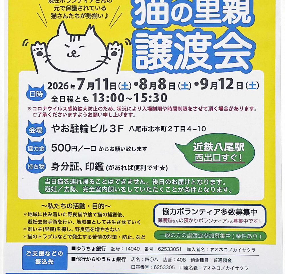 八尾ねこの会さくらの譲渡会