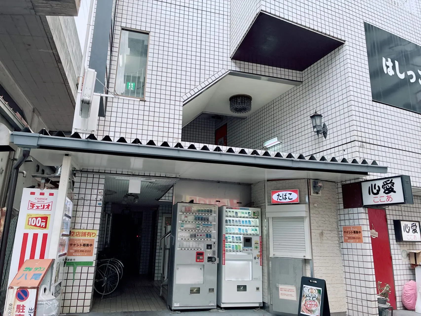 山芋研究所オープン
